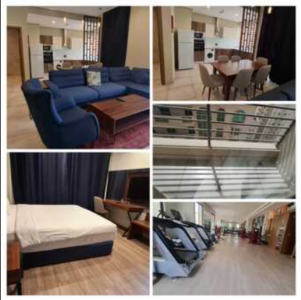 Collection Of 1BHK Family Apartments